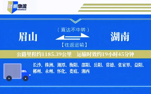 眉山到湖南物流公司
