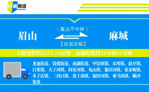 眉山到麻城物流公司