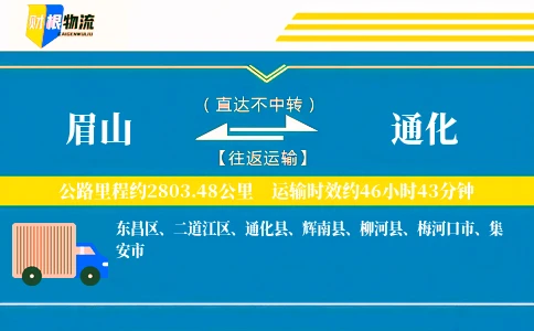 眉山到通化物流公司