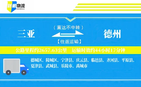 三亚到德州物流公司