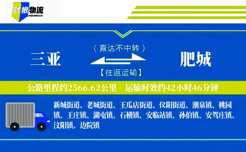 三亚到肥城物流公司
