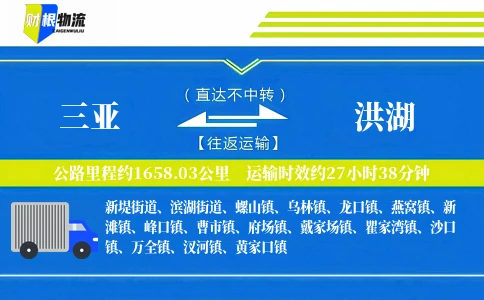 三亚到洪湖物流公司