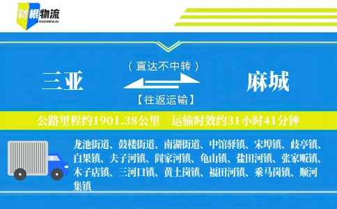 三亚到麻城物流公司