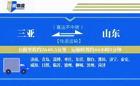 三亚到山东物流公司