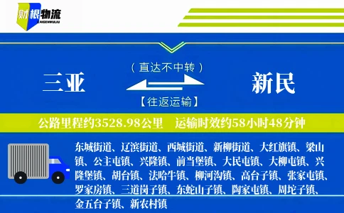 三亚到新民物流公司