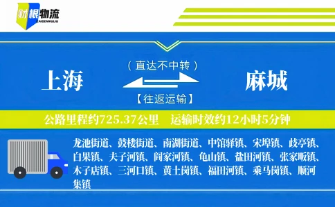 上海到麻城物流公司