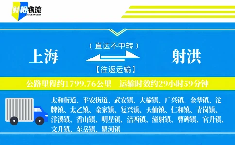 上海到射洪物流公司