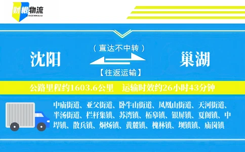 沈阳到巢湖物流公司