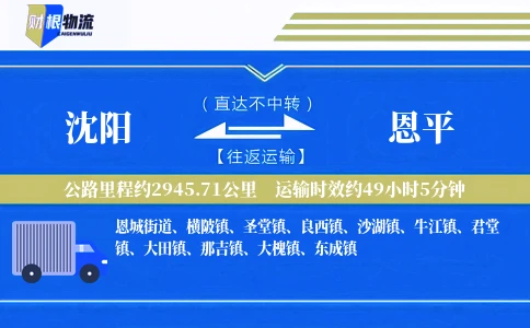 沈阳到恩平物流公司