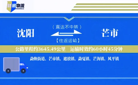 沈阳到芒市物流公司