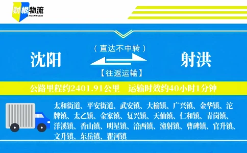 沈阳到射洪物流公司
