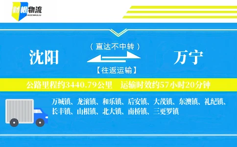 沈阳到万宁物流公司