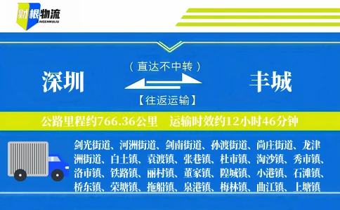 深圳到丰城物流公司