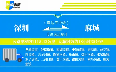 深圳到麻城物流公司