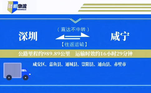 深圳到咸宁物流公司
