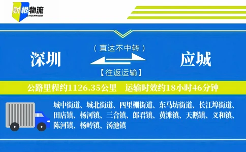 深圳到应城物流公司