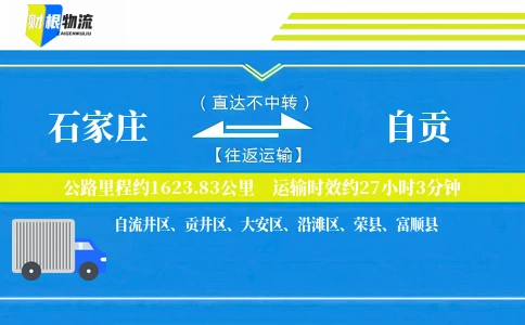 石家庄到自贡物流公司