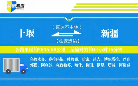 十堰到新疆物流公司