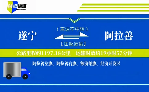 遂宁到阿拉善物流公司