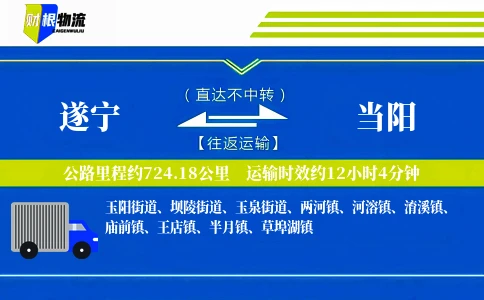 遂宁到当阳物流公司
