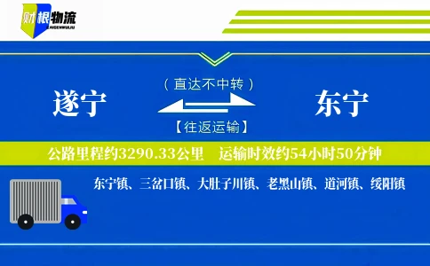 遂宁到东宁物流公司