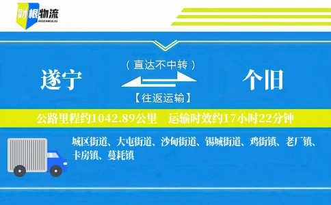 遂宁到个旧物流公司