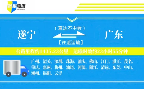 遂宁到广东物流公司