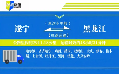 遂宁到黑龙江物流公司
