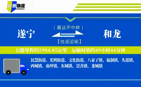 遂宁到和龙物流公司