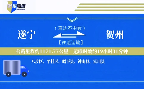 遂宁到贺州物流公司