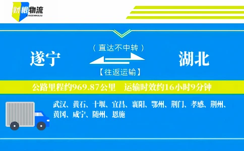 遂宁到湖北物流公司