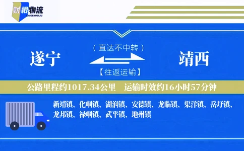 遂宁到靖西物流公司