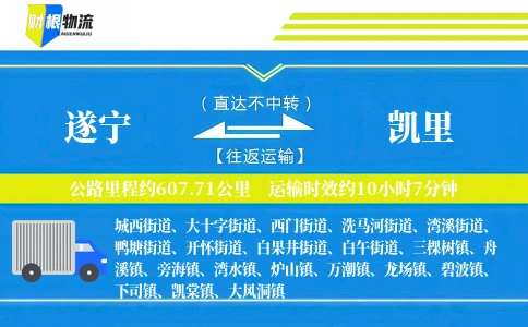 遂宁到凯里物流公司