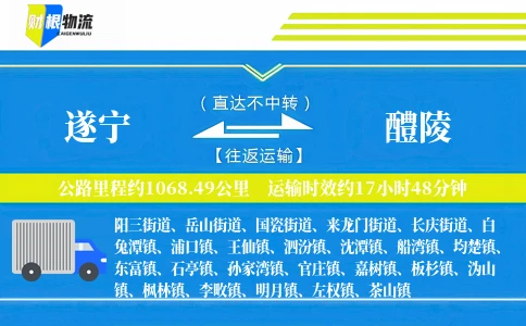 遂宁到醴陵物流公司