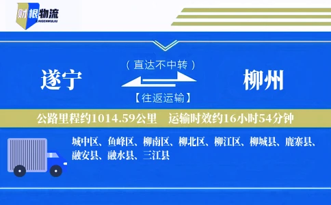 遂宁到柳州物流公司