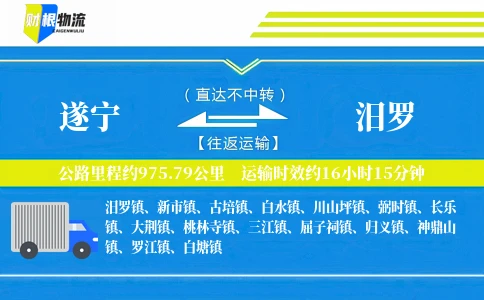 遂宁到汨罗物流公司