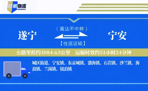 遂宁到宁安物流公司