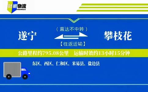 遂宁到攀枝花物流公司