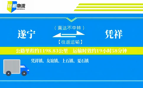 遂宁到凭祥物流公司