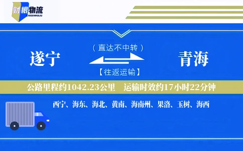 遂宁到青海物流公司