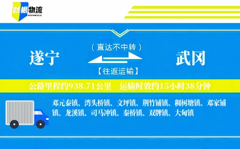 遂宁到武冈物流公司