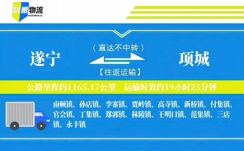 遂宁到项城物流公司