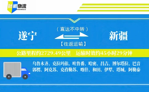 遂宁到新疆物流公司