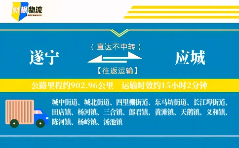 遂宁到应城物流公司