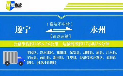 遂宁到永州物流公司