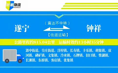 遂宁到钟祥物流公司