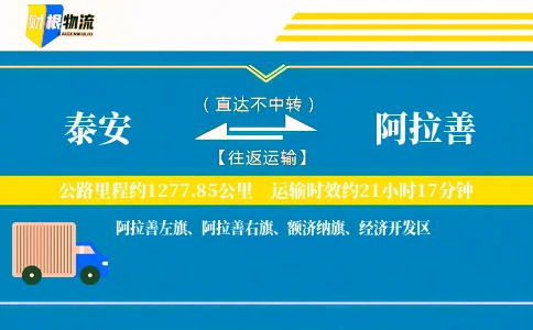 泰安到阿拉善物流公司