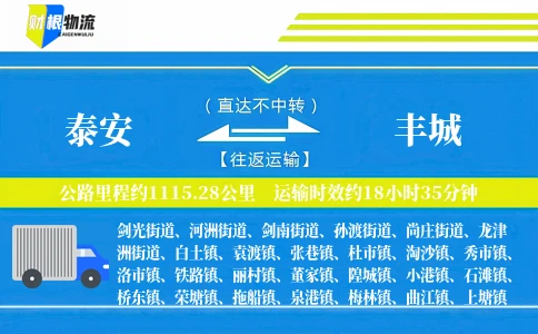 泰安到丰城物流公司