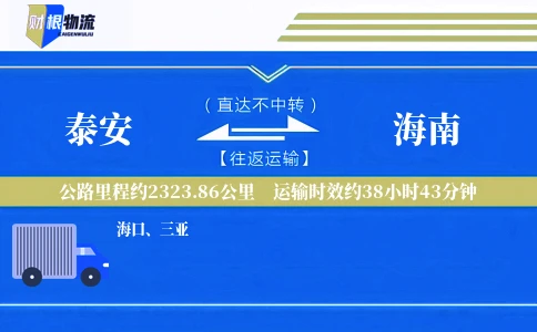 泰安到海南物流公司