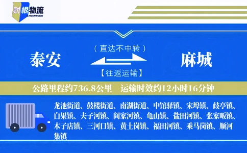 泰安到麻城物流公司